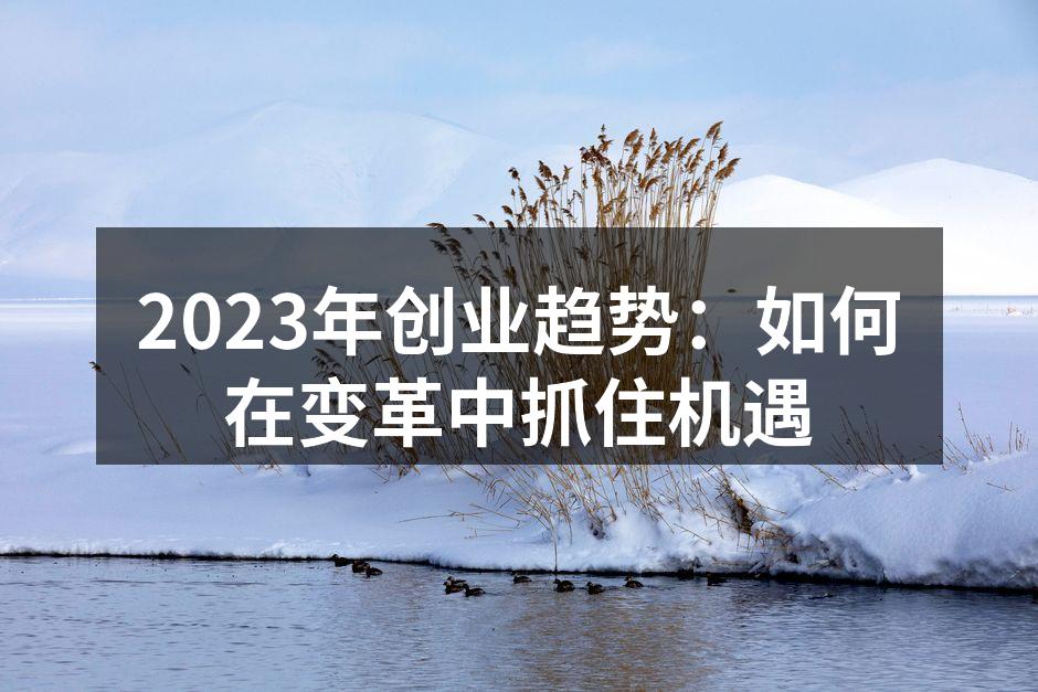 2023年创业趋势：如何在变革中抓住机遇